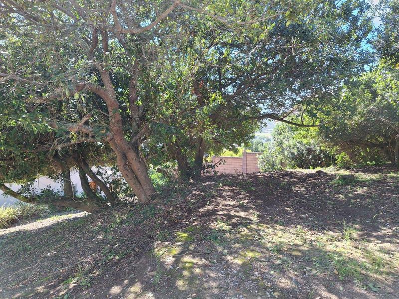 0 Bedroom Property for Sale in Bergsig Western Cape